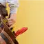 Handyman repair service in Santa Ana, CA for home fixes and improvements