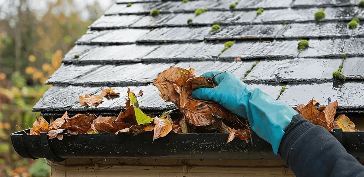 Gutter cleaning technician clearing wet leaves from roof gutters in Santa Ana, CA